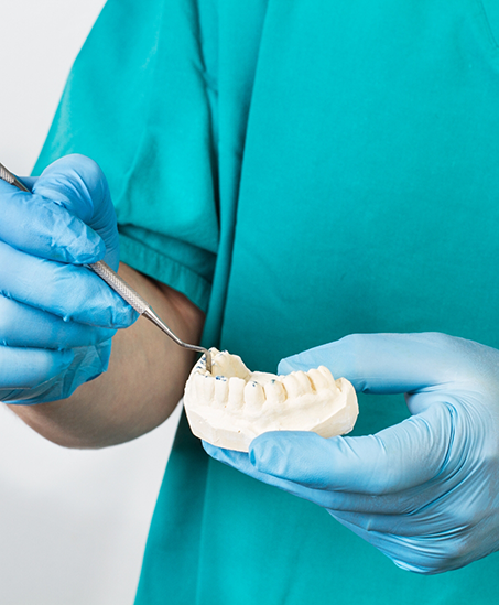 Dentist holding a model of a denture